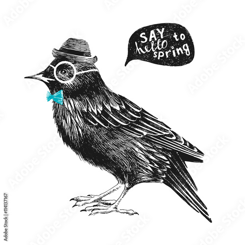 dressed up starling
