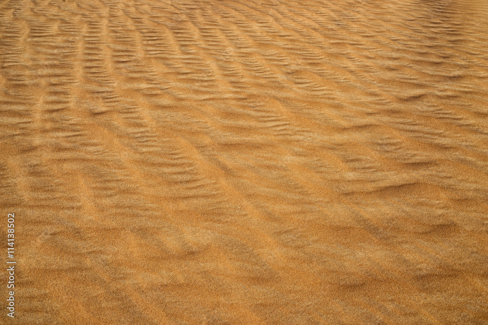 The yellow sand surface of the desert. The wind sweeps the sand, The yellow sand surface of the desert. The wind sweeps the sand,