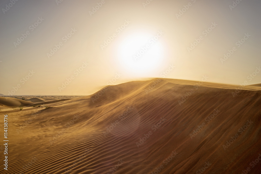 Naklejka Żółte piaski pustyni ciągnące się po horyzont. Wysokie wydmy w