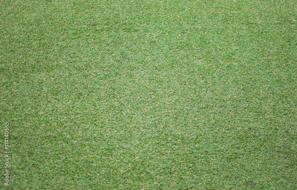 Fototapeta closeup nature green lawn, green field background