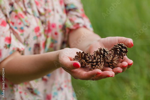 Few pine cones in woman hands, closeup © Andrey Cherkasov