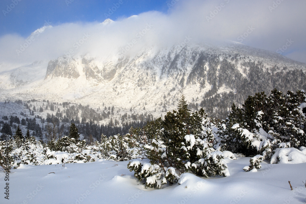 Winter landscape in Tatra Mountains