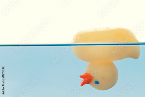 Obraz na plátně Rubber Duck - Nonswimmer