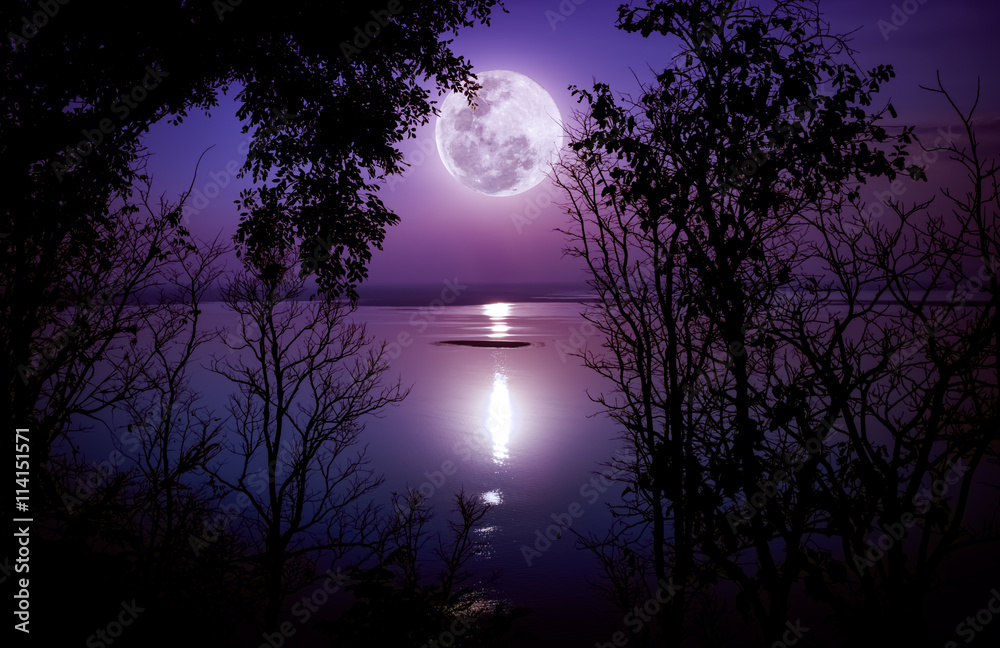 Silhouettes of woods and beautiful moonrise, bright full moon.