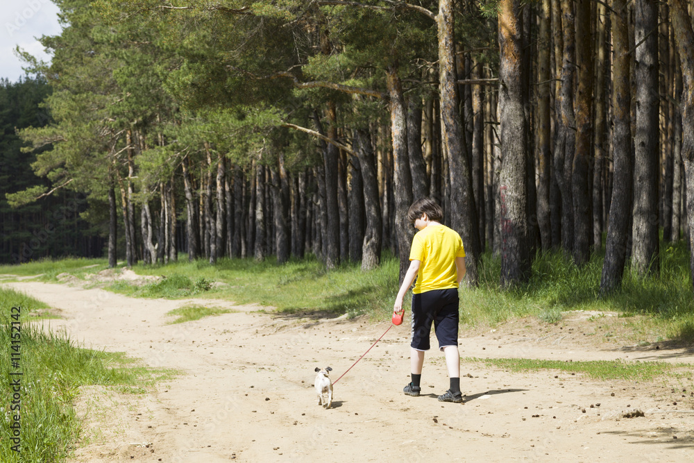 Boy walking with a dog near the forest