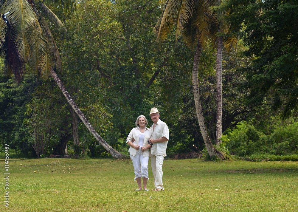 Fototapeta premium Happy Mature couple on vacation