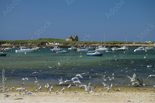 Boote bei Lampaul-Plouarzel, Bretagne