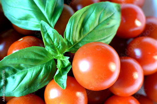 Grape cherry tomatoes with basil leaves
