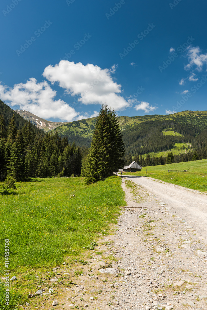 road in Chocholowska Valley in Tatra Mountains, Poland