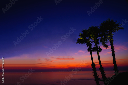 Silhouette sugar palm trees on beach at twilight. Vintage tone.