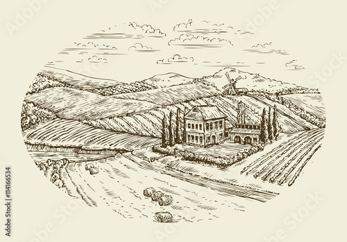 Vineyard landscape. Hand drawn vintage sketch agriculture, farming, farm
