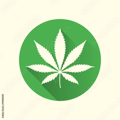 cannabis marijuana flat design icon .