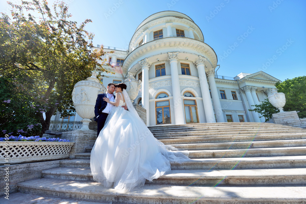 Wedding couple on the nature is hugging each other. Beautiful model girl in white dress. Man in suit. Beauty bride with groom. Female and male portrait. Woman with lace veil. Lady and guy outdoors Wedding couple on the nature is hugging each other. Beautiful model girl in white dress. Man in suit. Beauty bride with groom. Female and male portrait. Woman with lace veil. Lady and guy outdoors