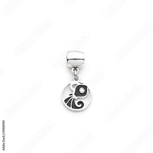 Zodiac sign Aquarius in accessories on the white background