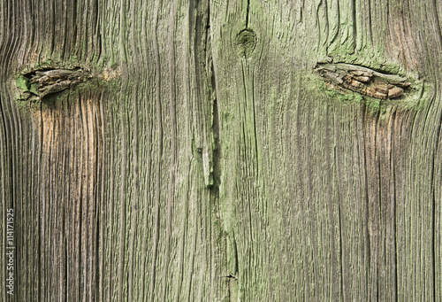 Старая деревянная доска зелёный лишайник. Красивая деревянная поверхность текстура