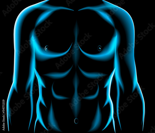 male torso