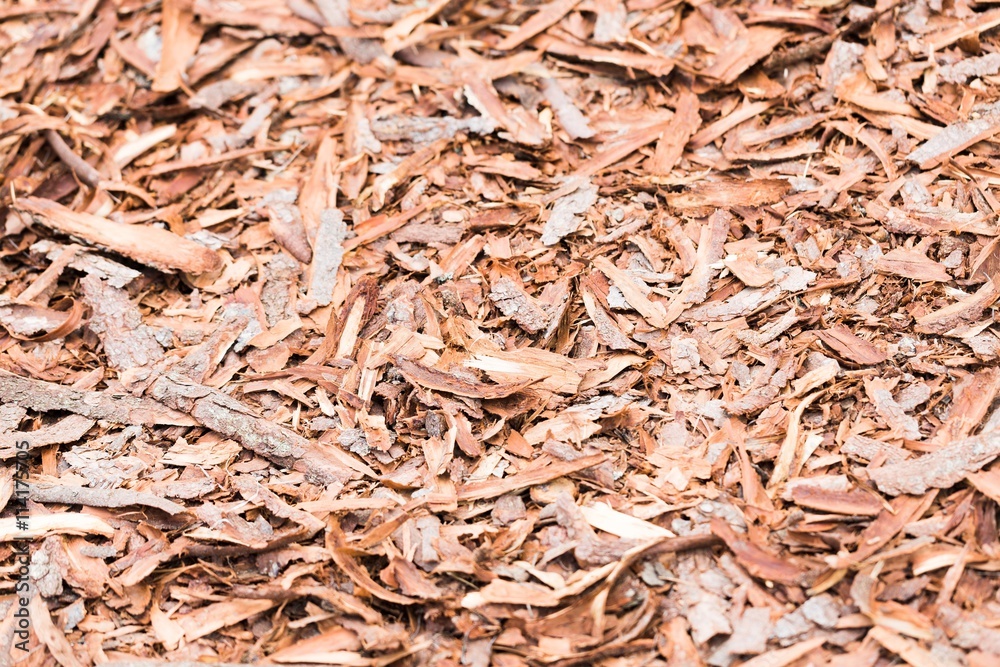 Bark. Bark.