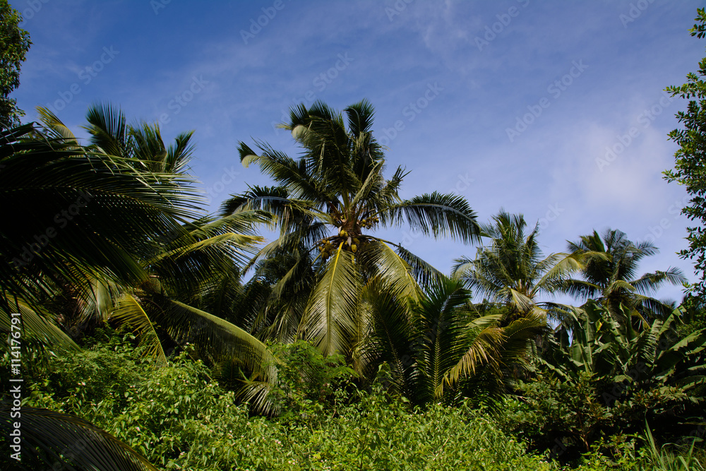 Seychellen