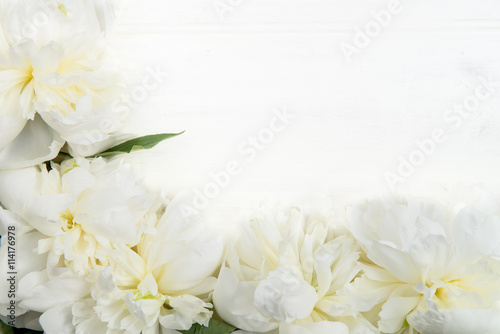 Frame from Peonies and Petals
