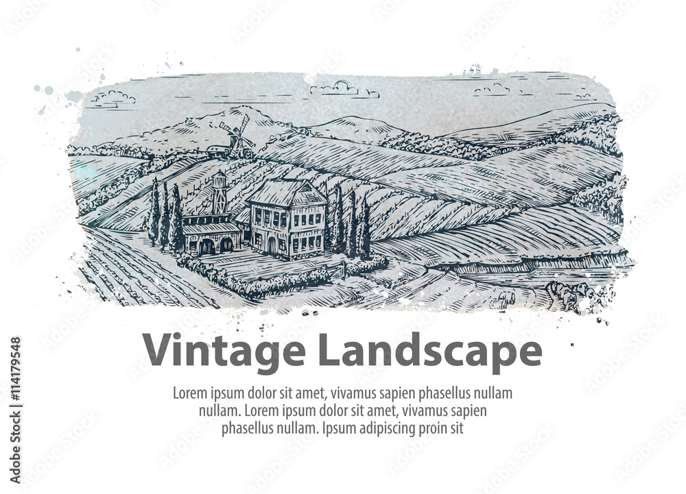 Farm, farming. Hand-drawn sketch rural landscape. Vineyard vector illustration