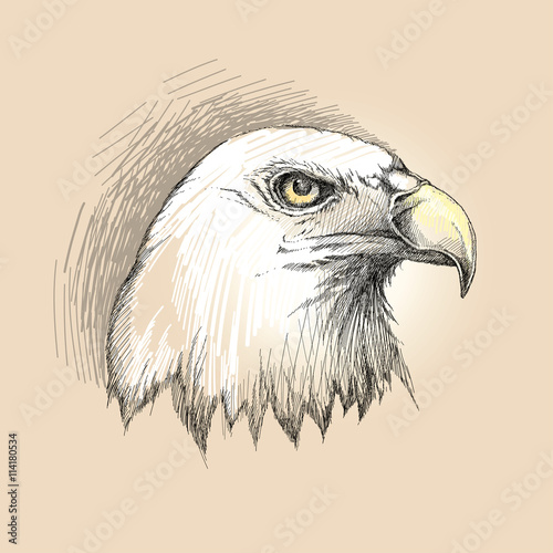 Vector sketch of bald eagle head profile in black on the beige background. Design element with eagle for USA Independence Day or July fourth. Decor with Eagle for greeting cards, banners or templates.