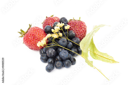 Blueberries, strawberries and lime (linden) blossom isolated on a uniform white background close-up front view. Tasty and useful gifts of gardens and forests