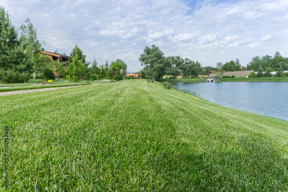 Landscaping with lawn and pond