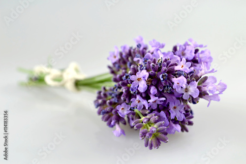  Lavender flowers bouquet close up
