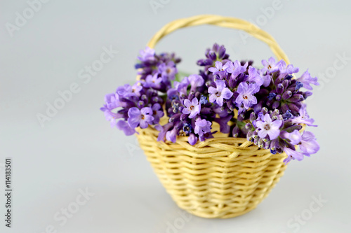 Lavender flowers in basket