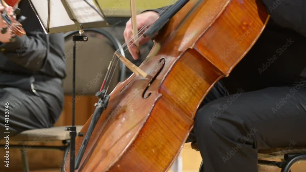 Cellist playing cello, blurred defocused background Cellist playing cello, blurred defocused background