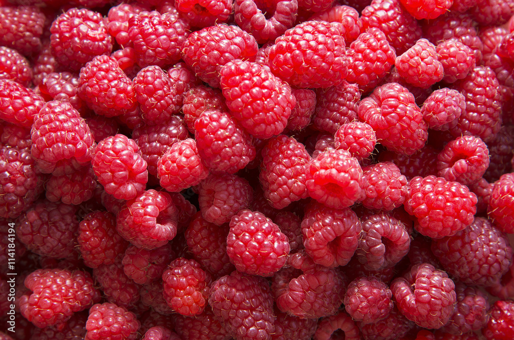 Fresh red raspberries Fresh red raspberries