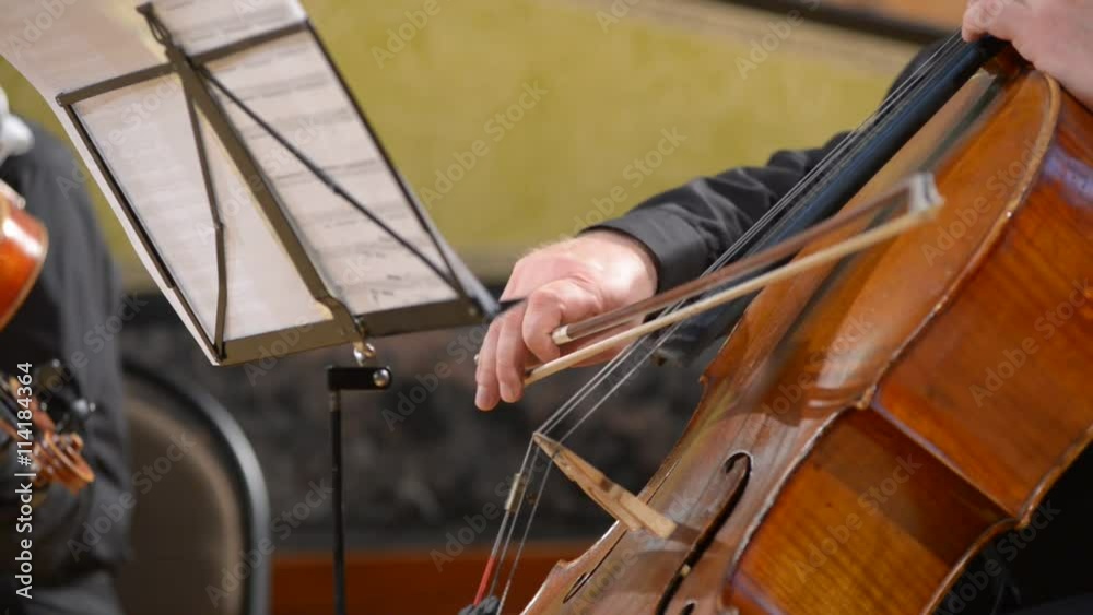Cellist playing cello, blurred defocused background Cellist playing cello, blurred defocused background