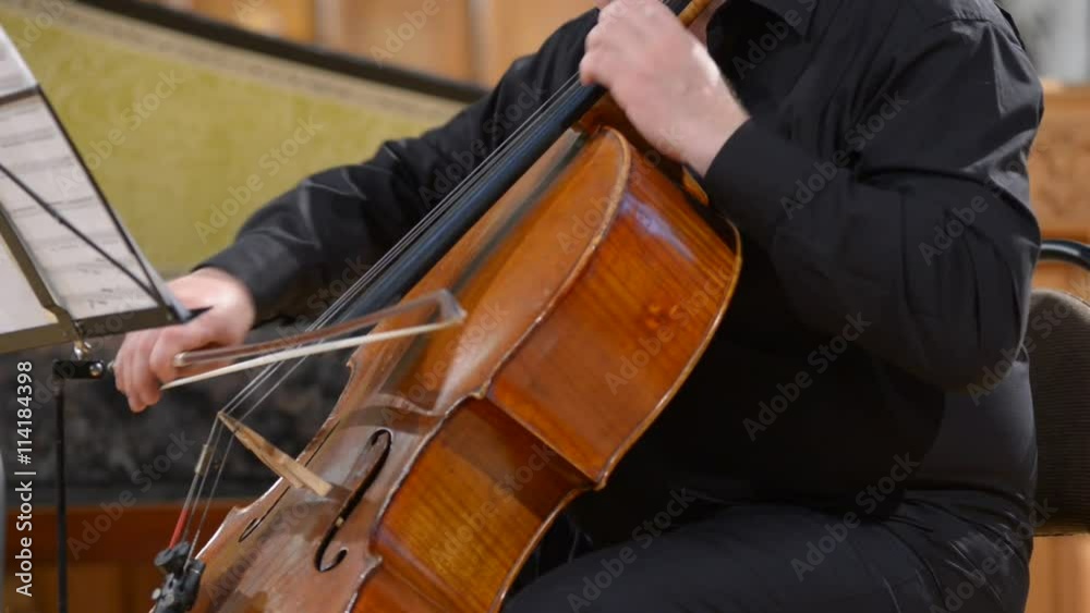 Cellist playing cello, blurred defocused background Cellist playing cello, blurred defocused background