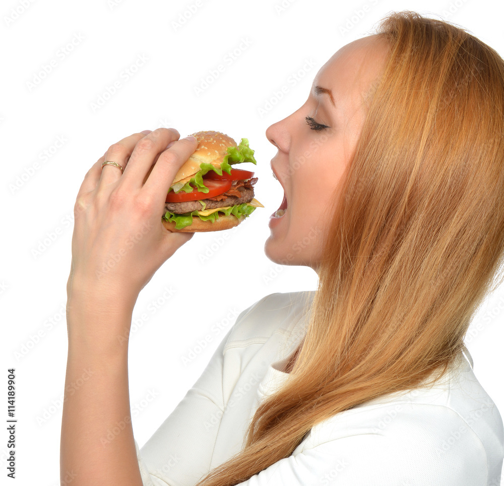 Fast food concept. Tasty unhealthy burger sandwich Fast food concept. Tasty unhealthy burger sandwich