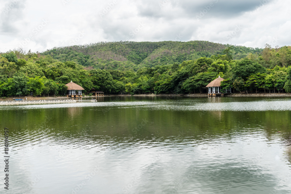 Fototapeta premium Garden with lake