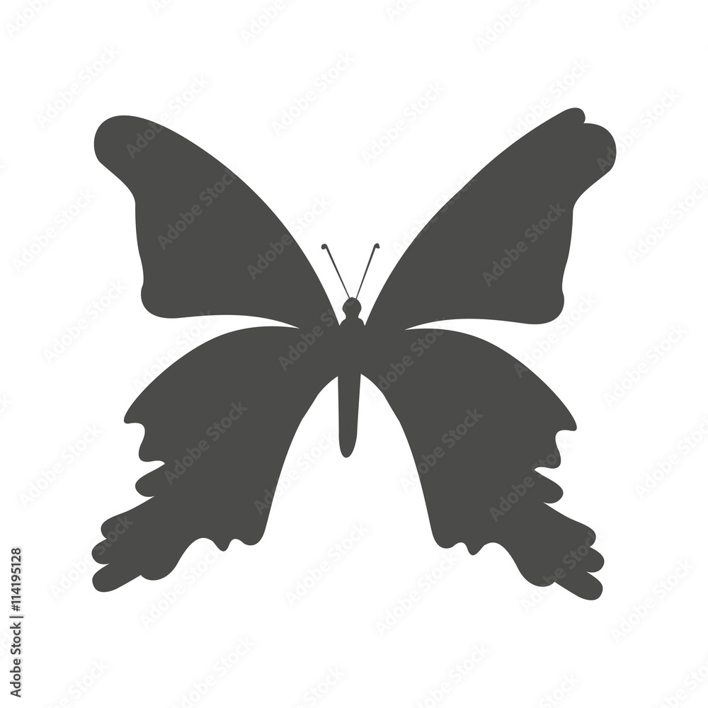 butterfly silhouette isolated icon design butterfly silhouette isolated icon design