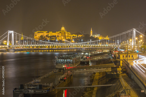 Elizabeth Bridge of Budapest with the Buda Castle in the background