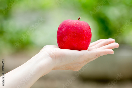  red apple