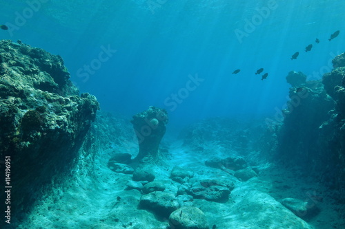 Underwater landscape on the ocean floor, coral reef sculpted by the swell, Pacific ocean, French Polynesia