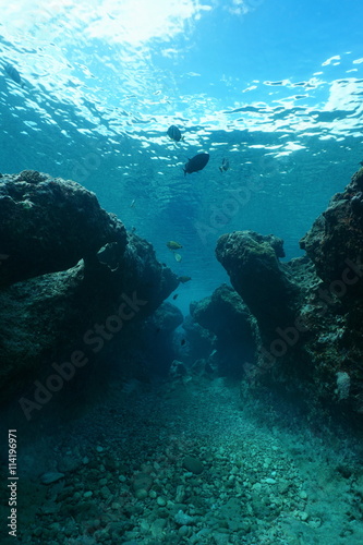 Small canyon underwater carved by swell into the reef  Huahine island  Pacific ocean  French Polynesia