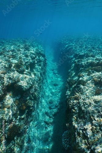 Underwater landscape  a natural trench into the fore reef due to wave swell at Huahine island  Pacific ocean  French Polynesia