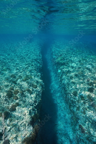 Underwater landscape, trench carved by wave swell into the coral reef at Huahine island, Pacific ocean, French Polynesia