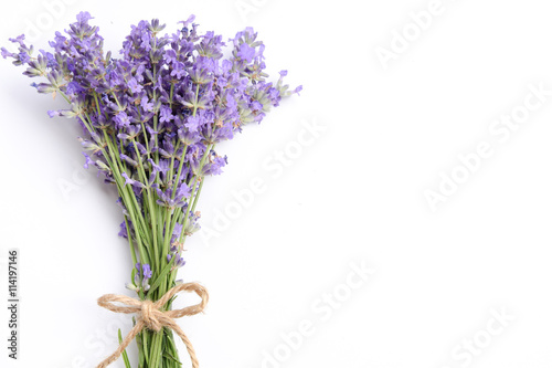 Fototapeta Naklejka Na Ścianę i Meble -  lavender on white background