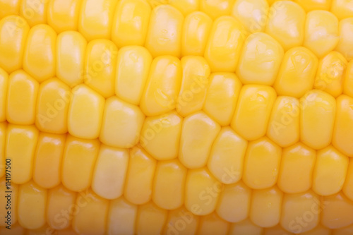 close up of corn background.