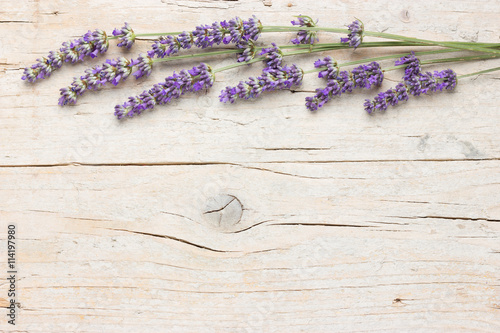 Fresh lavender flowers