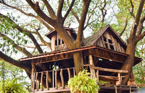 tree house in the garden