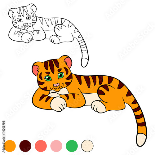 Fototapeta Naklejka Na Ścianę i Meble -  Coloring page. Color me: tiger. Little cute baby tiger smiles.