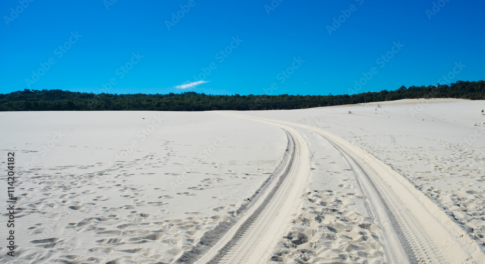 Wheel tracks on sand with tree and sky view Wheel tracks on sand with tree and sky view