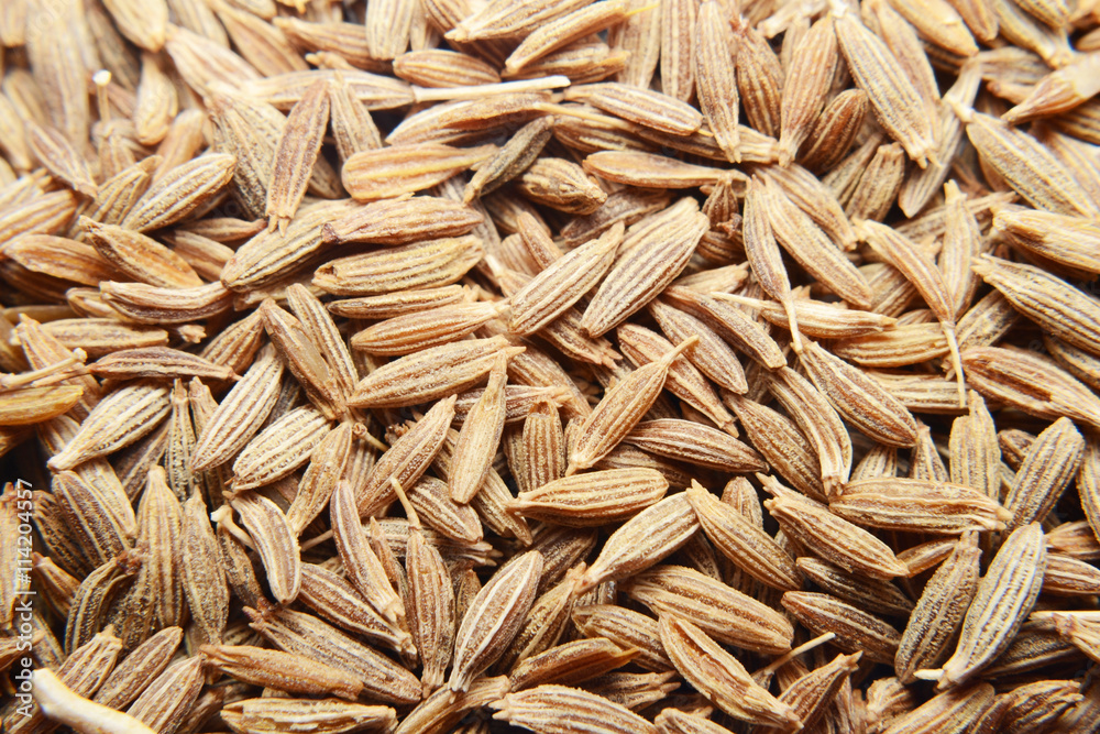 cumin seeds cumin seeds
