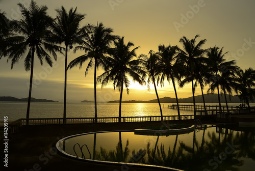 Paradise beach sunset or sunrise with tropical palm trees  Thailand  